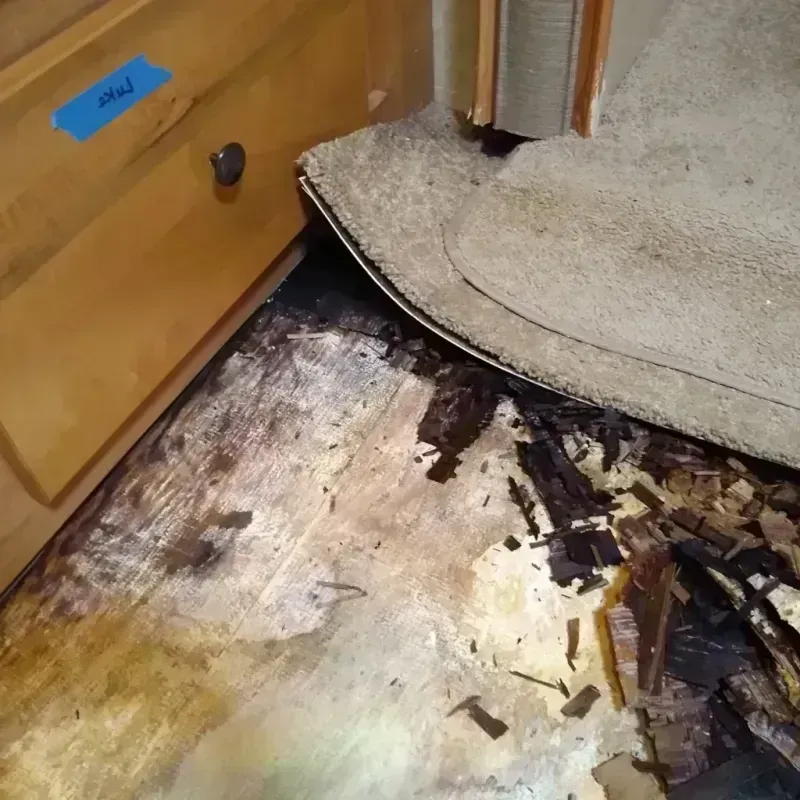 Best Wood Floor Water Damage Service in Mora, NM